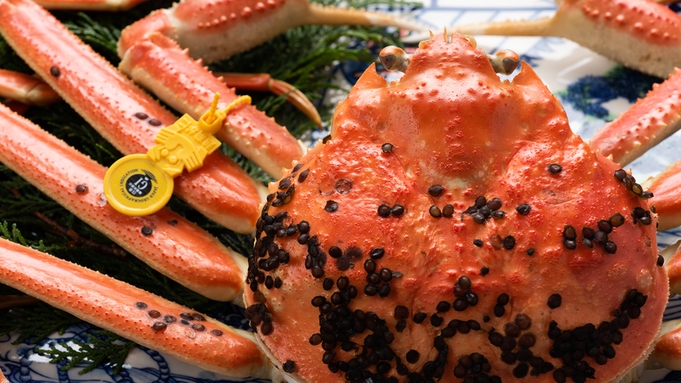【Cコース】でっかい蟹を喰らう☆質も量も満足。贅沢＆たっぷり越前蟹プラン　気兼ねなく個室食でご案内。